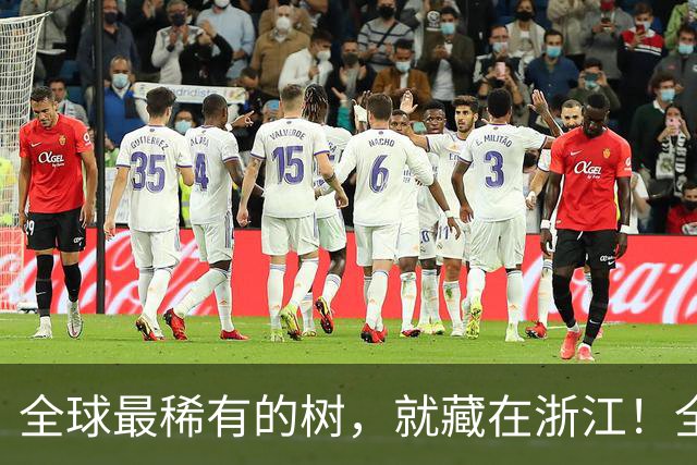 全球最稀有的树，就藏在浙江！全球仅剩一株，警卫365天日夜看守