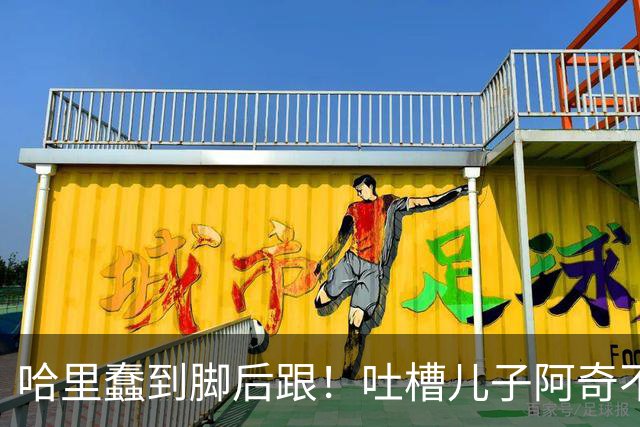 哈里蠢到脚后跟！吐槽儿子阿奇不喜欢数学，网友：那还不是随了你