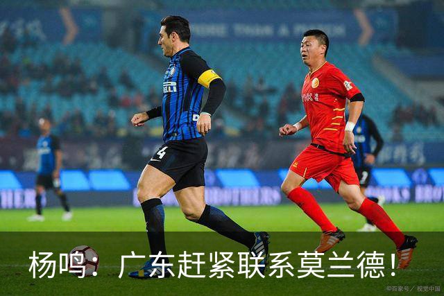 杨鸣：广东赶紧联系莫兰德！