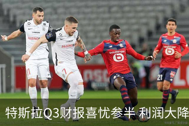 特斯拉Q3财报喜忧参半 利润大降56% 马斯克立下flag：2030年年产500万辆
