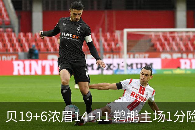 贝19+6浓眉14+11 鹈鹕主场1分险胜奇才