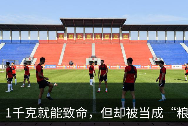 1千克就能致命，但却被当成“粮食”来食用，如今还在大量种植？